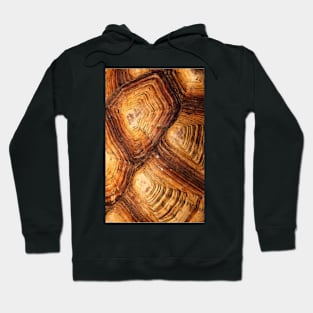 Turtle shell Hoodie